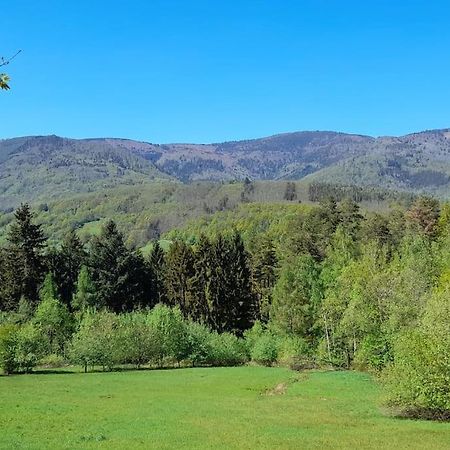 Ville Centre - Gite Le Villois - Au Coeur De L'Alsace Dış mekan fotoğraf