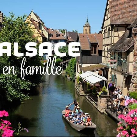 Ville Centre - Gite Le Villois - Au Coeur De L'Alsace Dış mekan fotoğraf