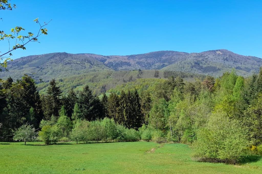 Ville Centre - Gite Le Villois - Au Coeur De L'Alsace Dış mekan fotoğraf