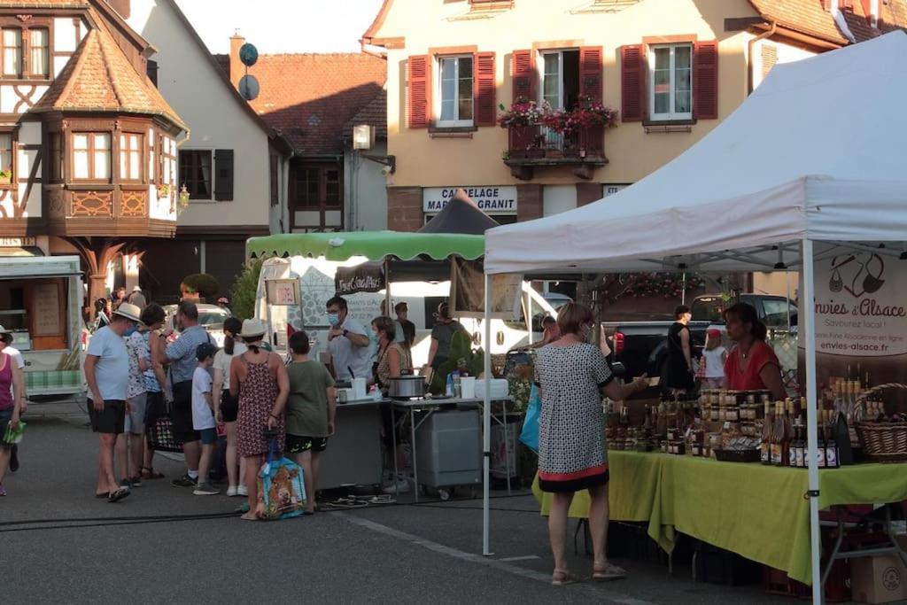 Ville Centre - Gite Le Villois - Au Coeur De L'Alsace Dış mekan fotoğraf