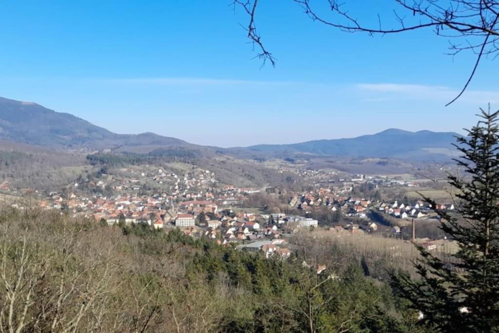 Ville Centre - Gite Le Villois - Au Coeur De L'Alsace Dış mekan fotoğraf