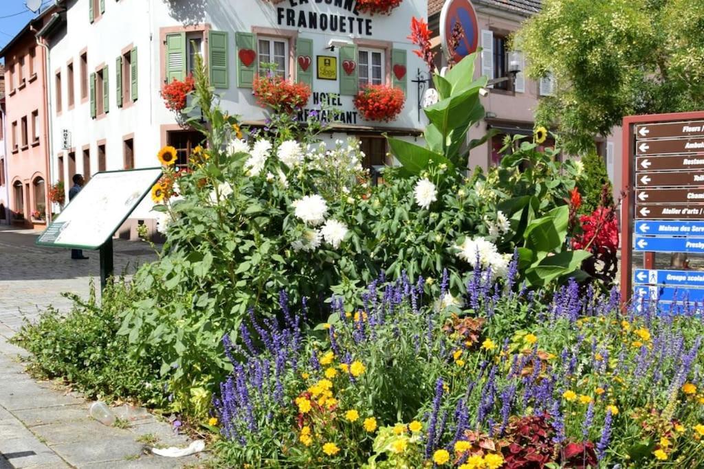 Ville Centre - Gite Le Villois - Au Coeur De L'Alsace Dış mekan fotoğraf