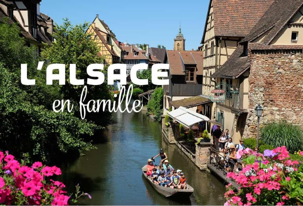 Ville Centre - Gite Le Villois - Au Coeur De L'Alsace Dış mekan fotoğraf
