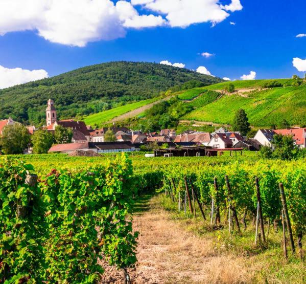 Ville Centre - Gite Le Villois - Au Coeur De L'Alsace Dış mekan fotoğraf